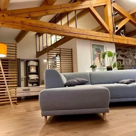 Le Loft Occitanie Sud De France Apartment *